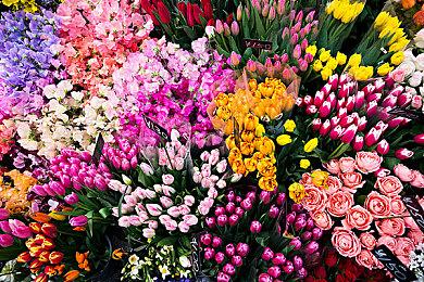 传闻：新3D开放世界马里奥游戏将首发护航Switch 2